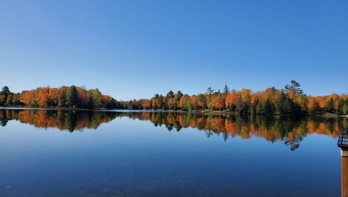 Green's-Lake-House-37