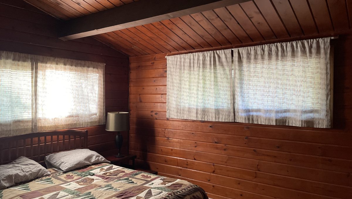 stoney island paradise 1