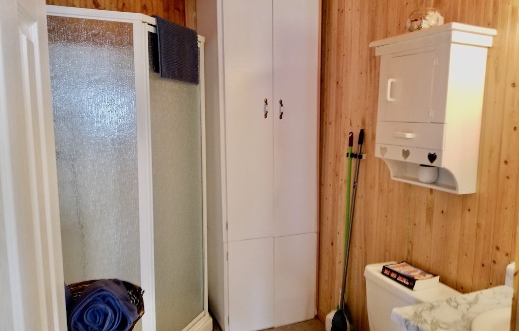Cabin-On-Crowe-Lake-12
