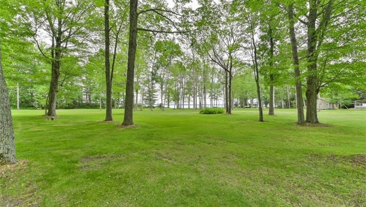 Cabin-On-Crowe-Lake-20