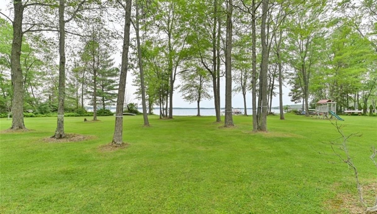 Cabin-On-Crowe-Lake-21