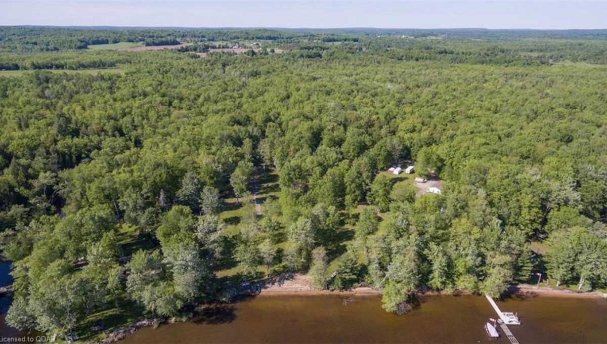 Cabin-On-Crowe-Lake-25