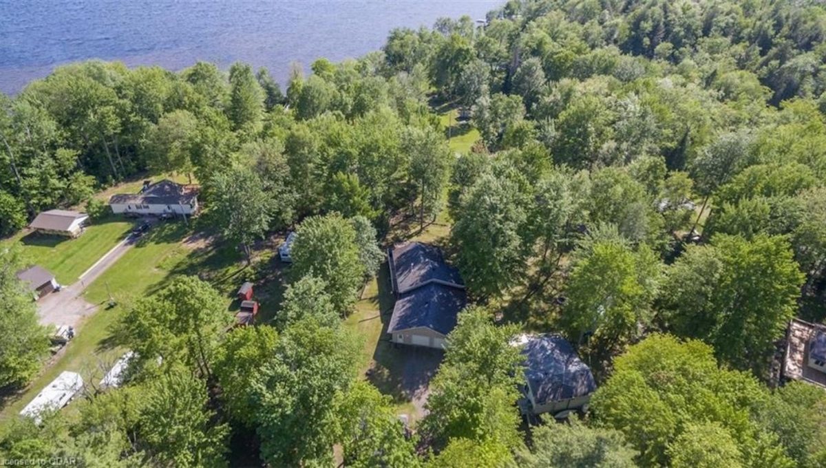 Cabin-On-Crowe-Lake-26