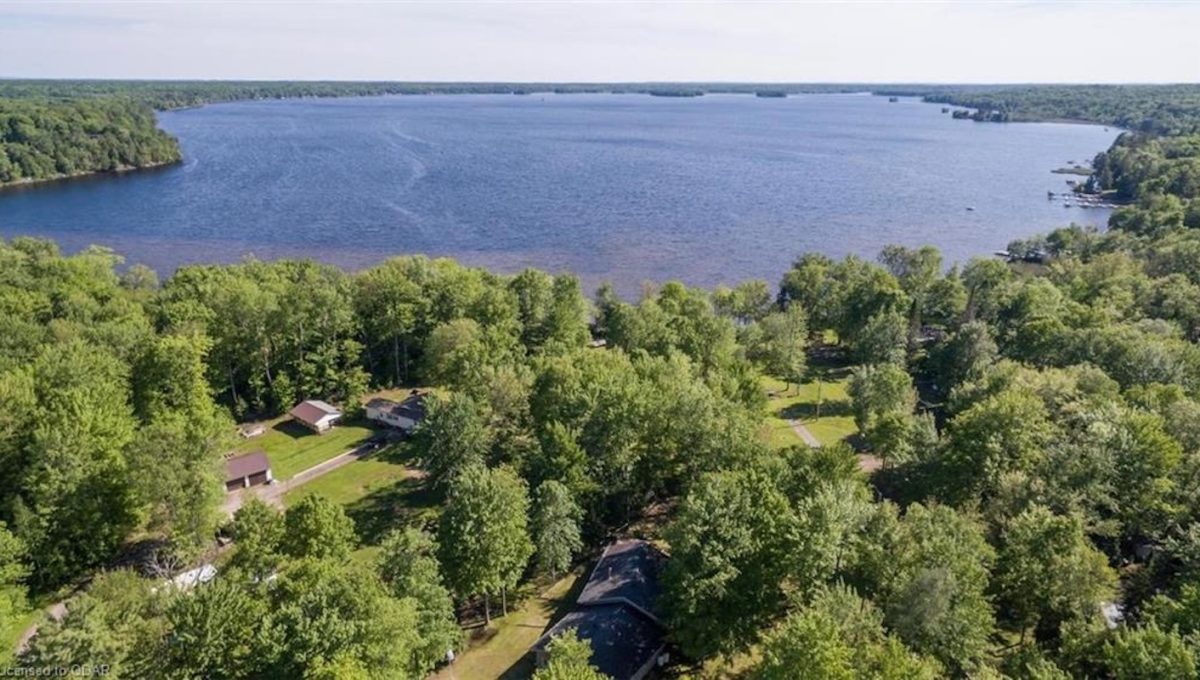 Cabin-On-Crowe-Lake-28