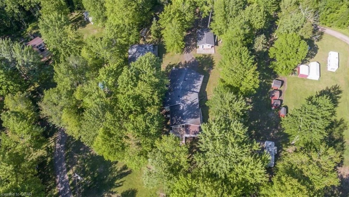 Cabin-On-Crowe-Lake-29