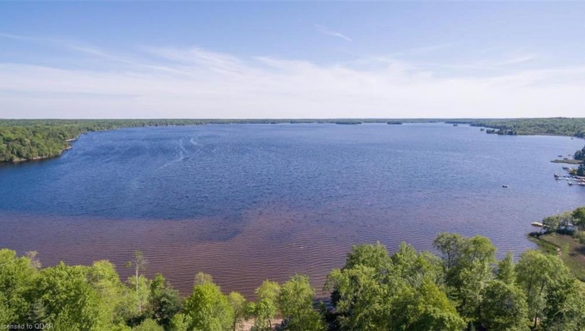 Cabin-On-Crowe-Lake-30