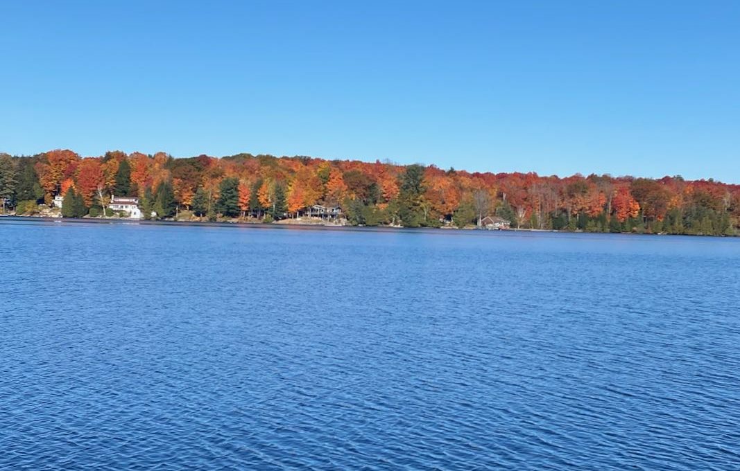 Rocky's-Anchor-on-Chandos-Lake - 14