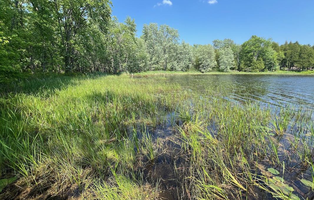 Secluded-Lakehouse-Retreat-on-Moira-Lake-15