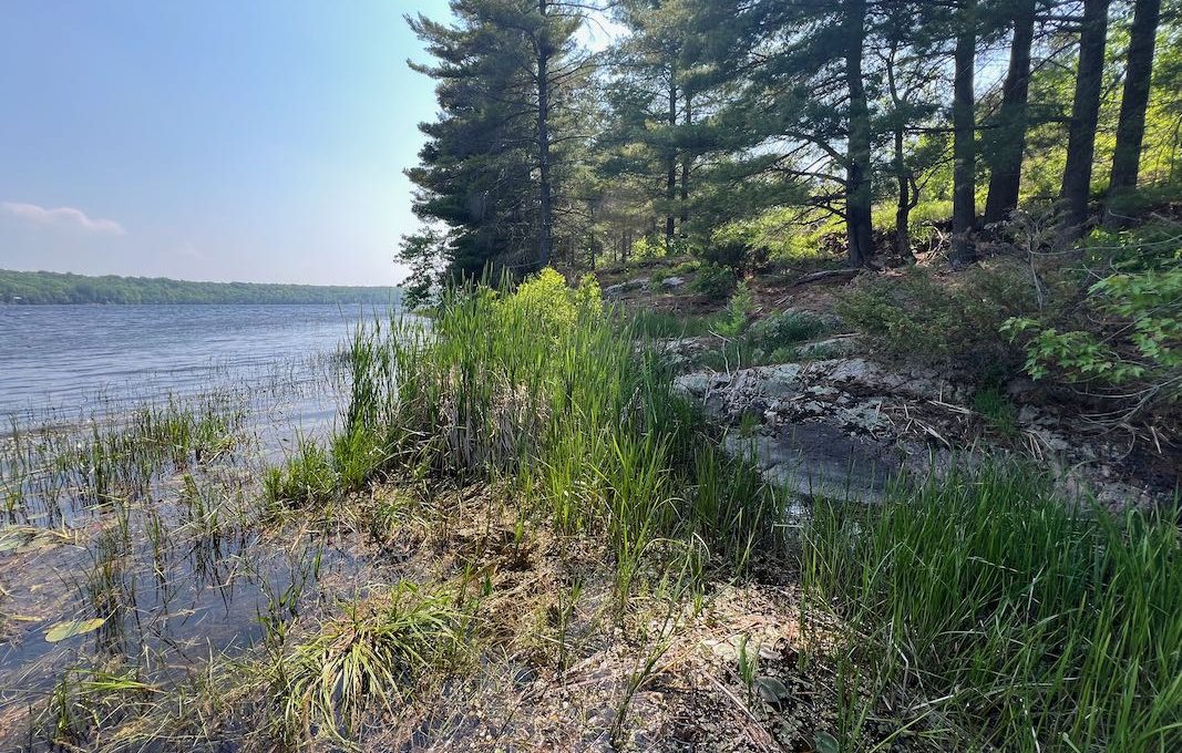 Secluded-Lakehouse-Retreat-on-Moira-Lake-16