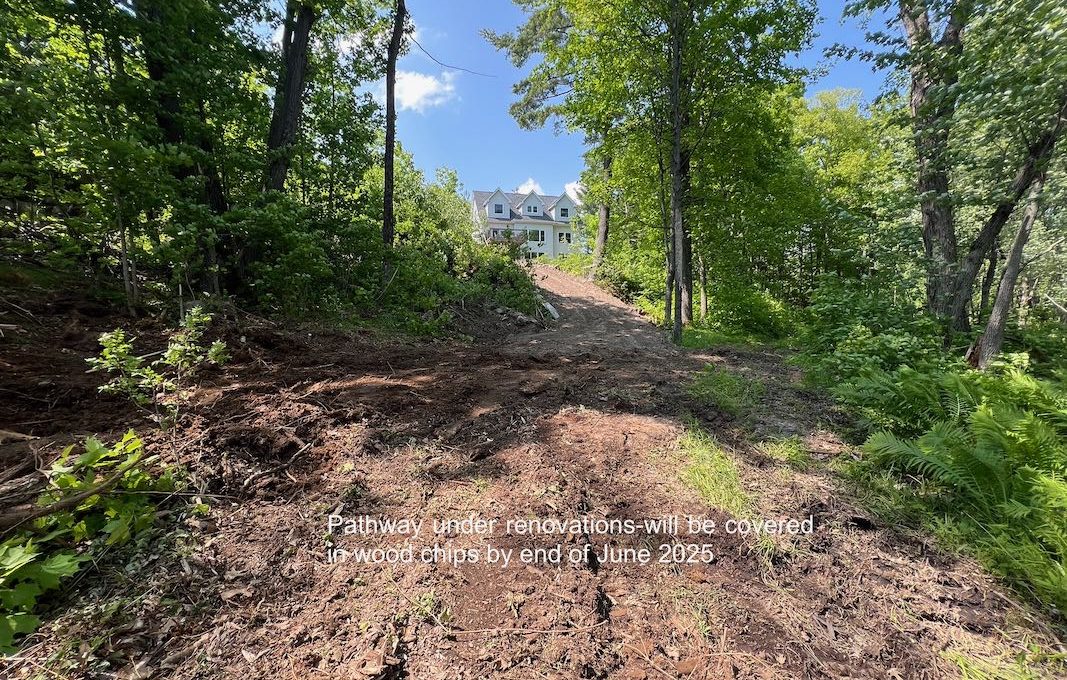 Secluded-Lakehouse-Retreat-on-Moira-Lake-17