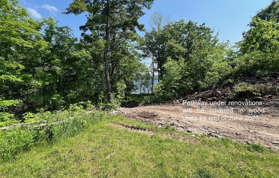 Secluded-Lakehouse-Retreat-on-Moira-Lake-7