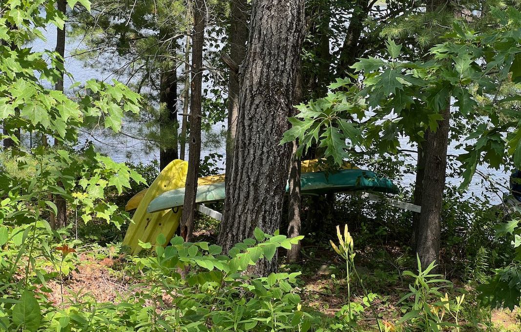 Bear Point Cottage on Kasshabog Lake-17