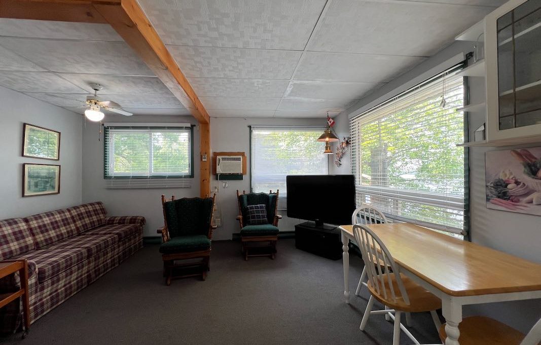 Bear Point Cottage on Kasshabog Lake-45