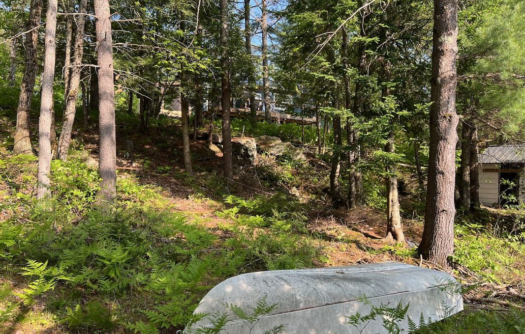 Family-Dream-Hilltop-Cottage-on-Mississagua-Lake-14