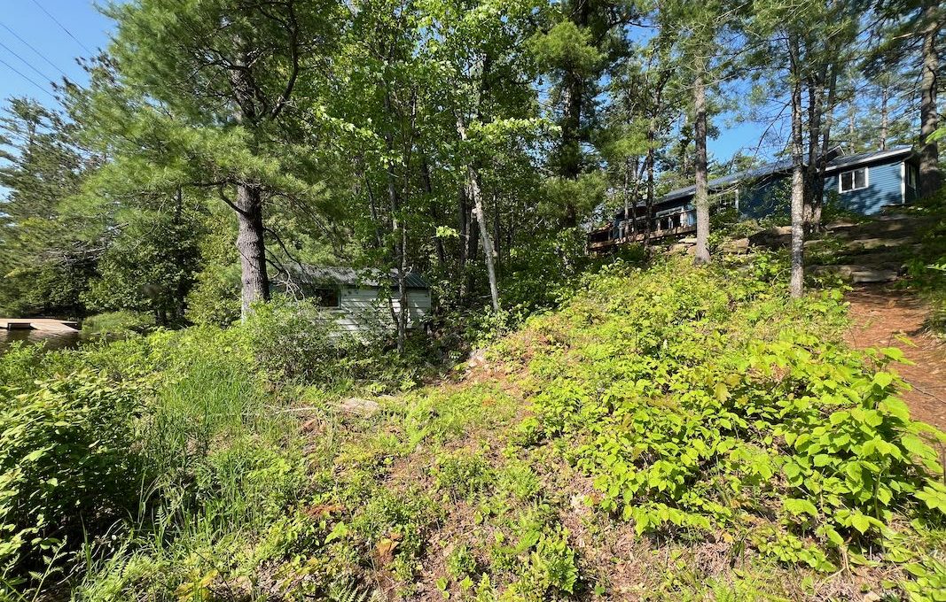 Family-Dream-Hilltop-Cottage-on-Mississagua-Lake-2