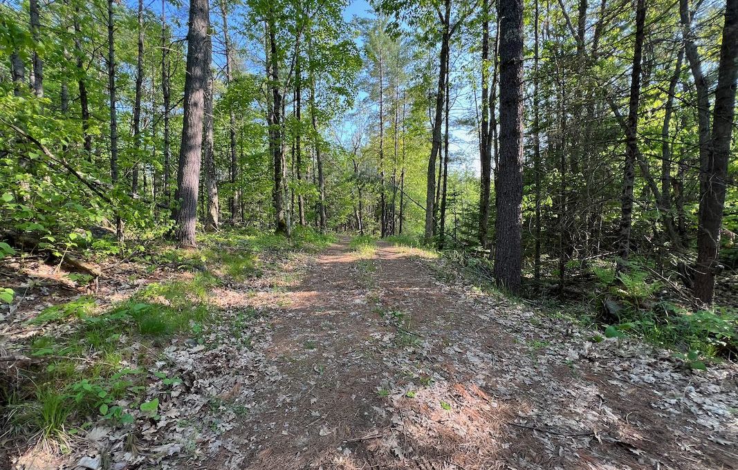 Family-Dream-Hilltop-Cottage-on-Mississagua-Lake-39