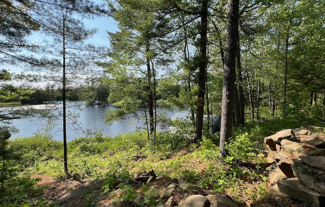 Family-Dream-Hilltop-Cottage-on-Mississagua-Lake-4