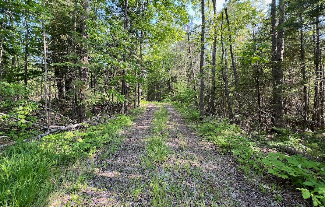 Family-Dream-Lakehouse-Cottage-on-Mississagua-Lake-46