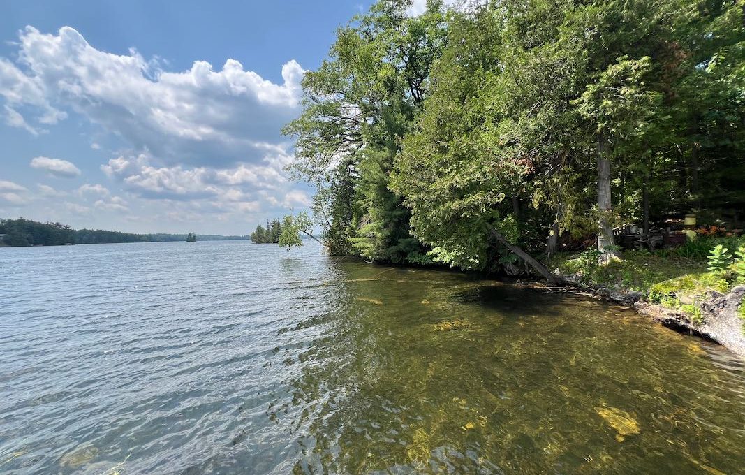 Oak-Lake-Oasis-10