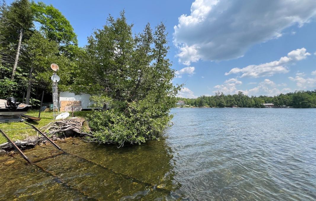 Oak-Lake-Oasis-11