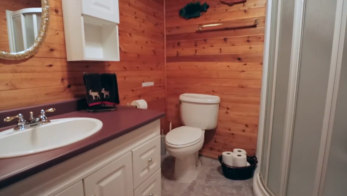 Beaver Lake Retreat - 29