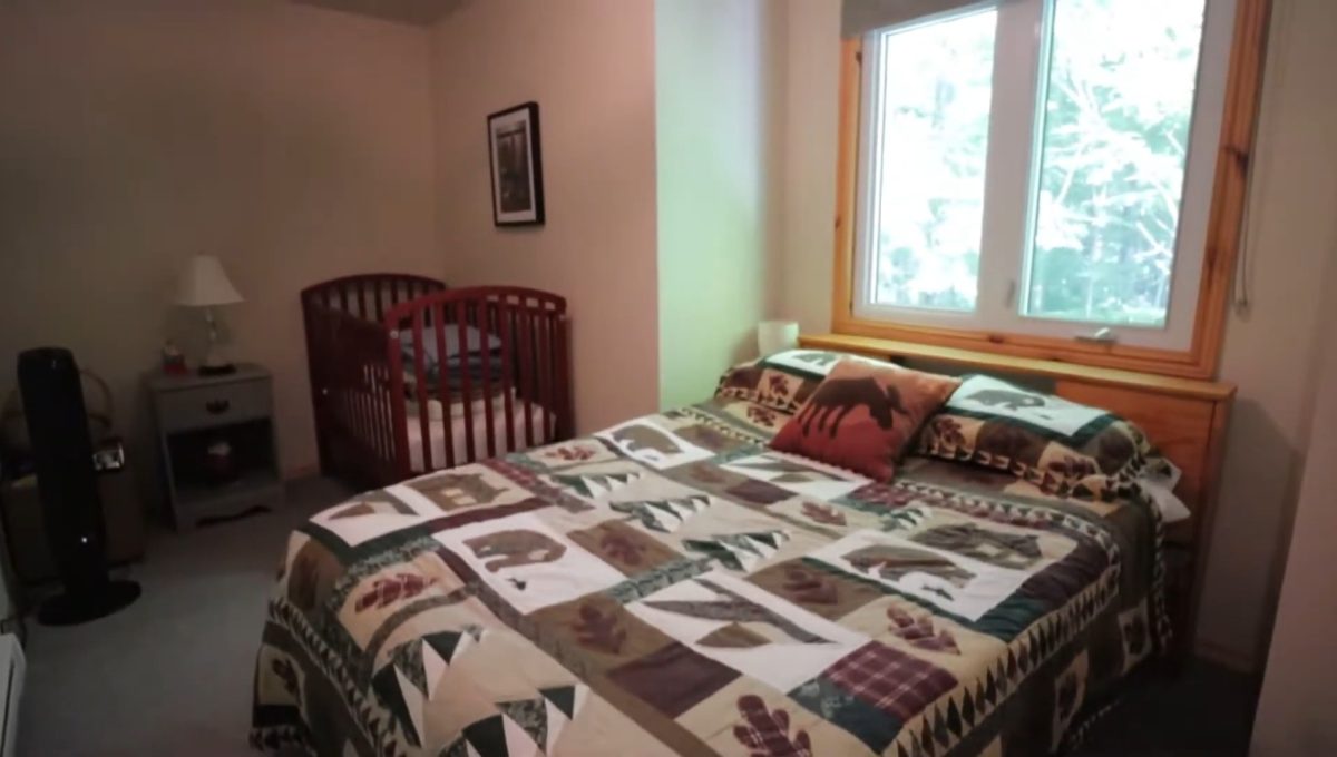 Beaver Lake Retreat - 33