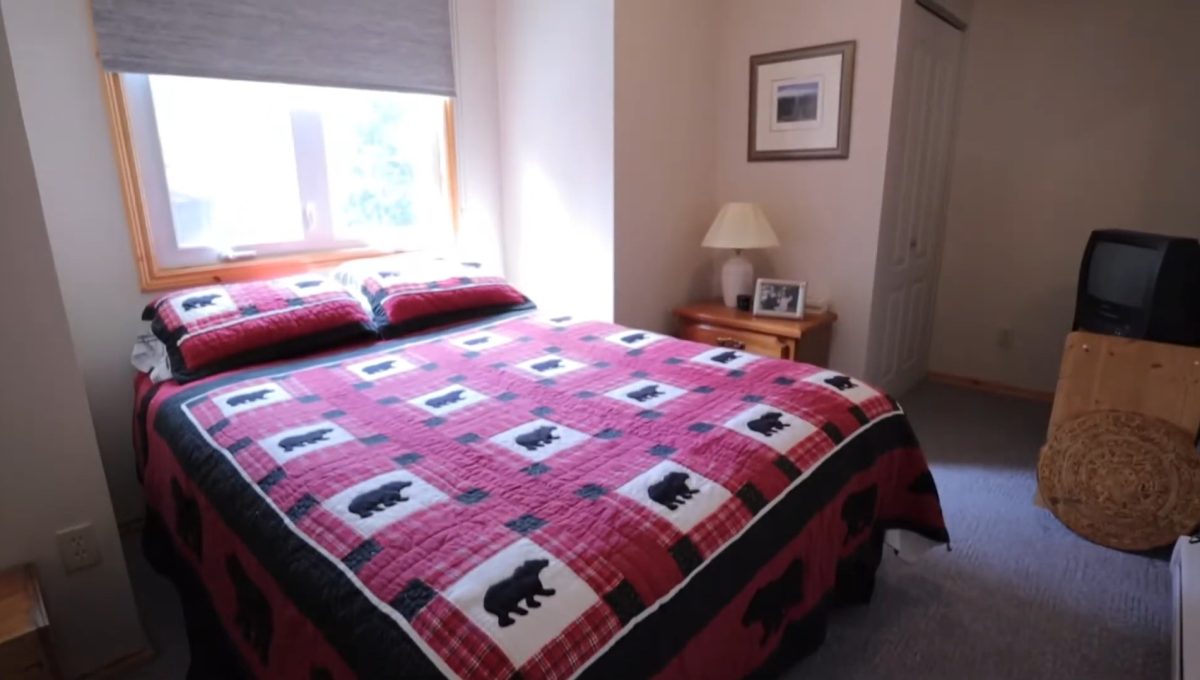 Beaver Lake Retreat - 35