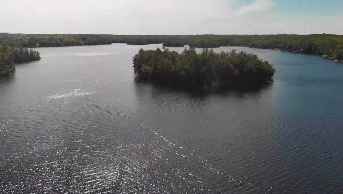 Beaver Lake Retreat - 38