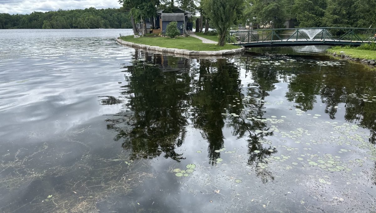 Little Bald lake cottage-10a