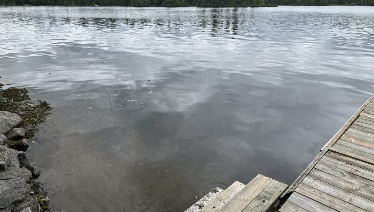 Little Bald lake cottage-7