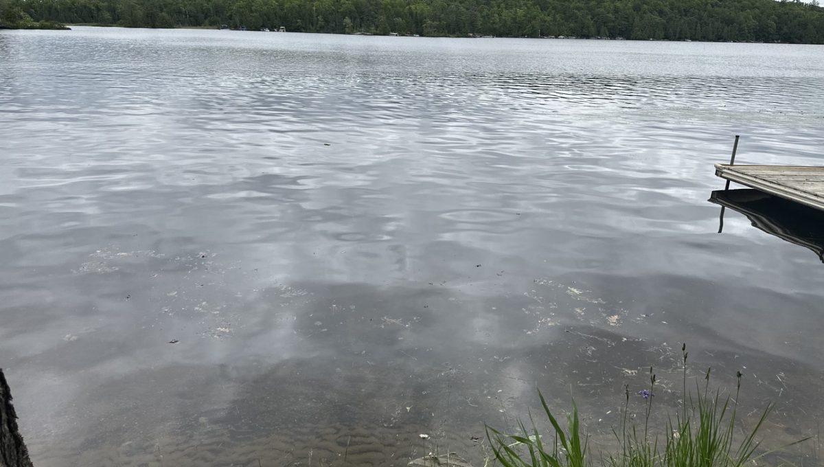 Little Bald lake cottage-8